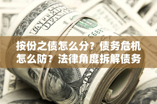 武汉按份之债怎么分？债务危机怎么防？法律角度拆解债务分配与风险自保指南