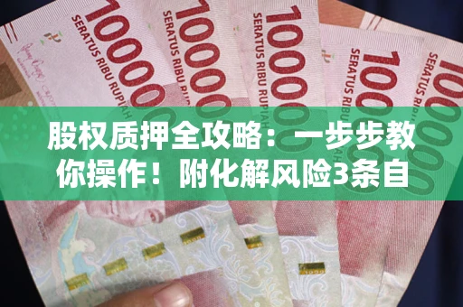 武汉股权质押全攻略：一步步教你操作！附化解风险3条自救法则