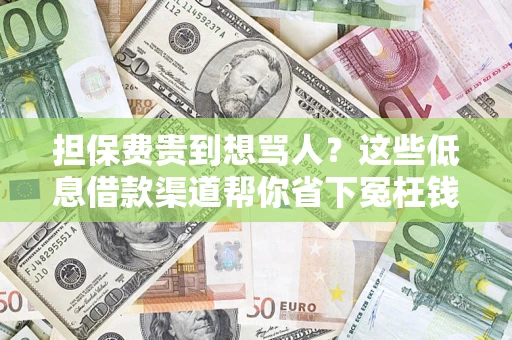 武汉担保费贵到想骂人？这些低息借款渠道帮你省下冤枉钱
