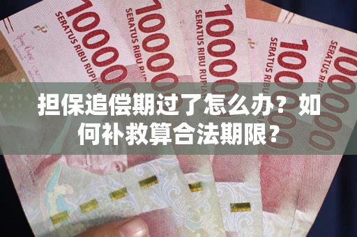 武汉担保追偿期过了怎么办？如何补救算合法期限？