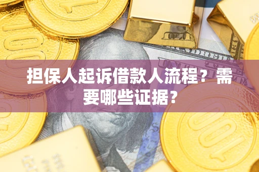 武汉担保人起诉借款人流程？需要哪些证据？