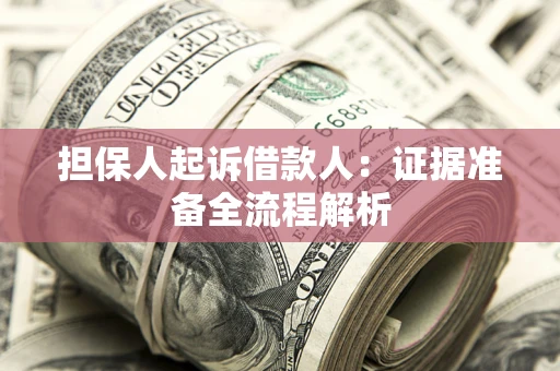 武汉担保人起诉借款人：证据准备全流程解析
