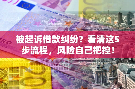 武汉被起诉借款纠纷？看清这5步流程，风险自己把控！