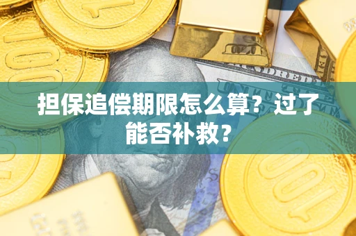 武汉担保追偿期限怎么算？过了能否补救？